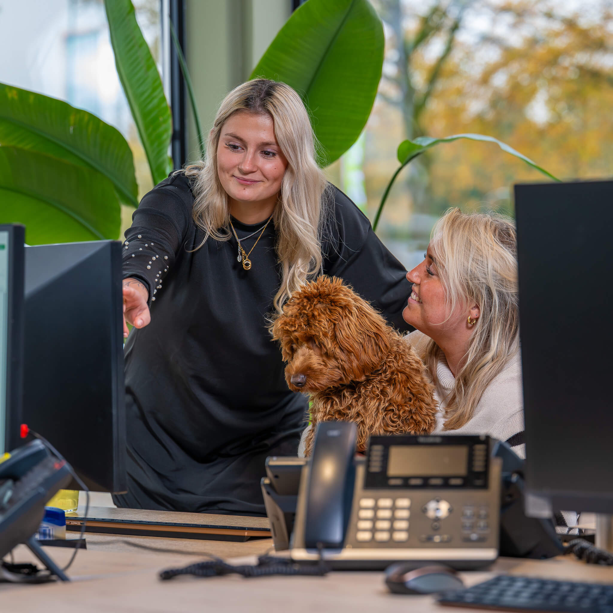 Medewerkers in beeld voor vacaturemarketing